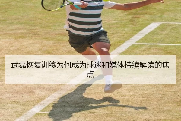 武磊恢复训练为何成为球迷和媒体持续解读的焦点（JXsport）